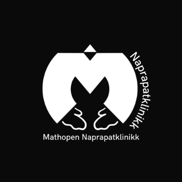 Sponsor logo #7